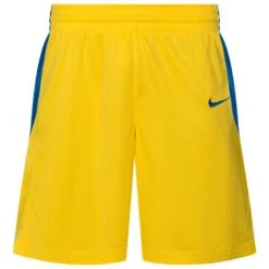 Nike Team Femmes Short De Basket NT0212-719