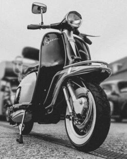 Sportif Vêtements Magasin -Sportif Vêtements Magasin RWIS1409 2 1280x1280